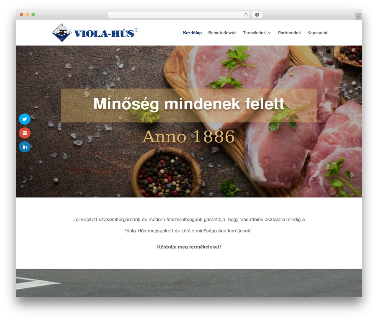 Divi WordPress theme - viola-hus.hu