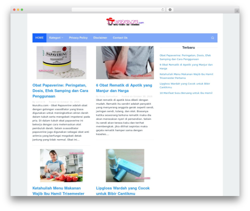 Superfast theme WordPress - nurulku.com