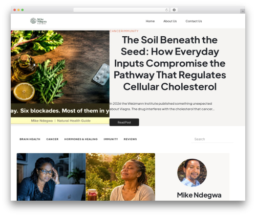 Theme WordPress ThemeBuilder Theme - mikendegwa.com