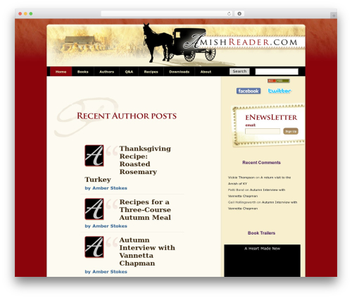 Q and a plus WordPress plugin - amishreader.com