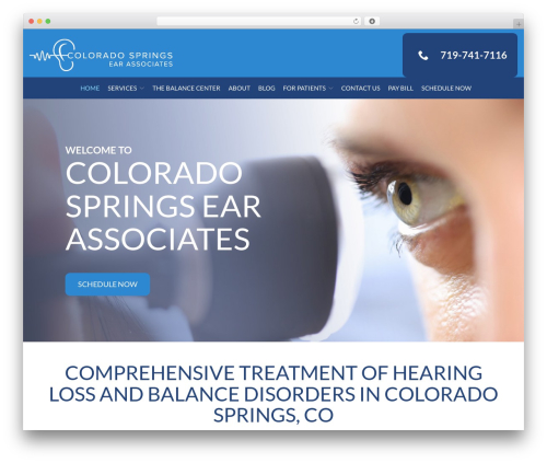 Theme WordPress Reach Local - springsear.com