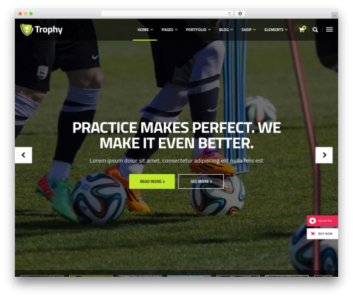 WordPress theme Trophy - trophy.qodeinteractive.com