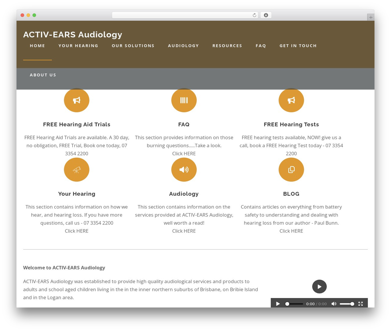 Austin WordPress theme - activ-ears.com.au