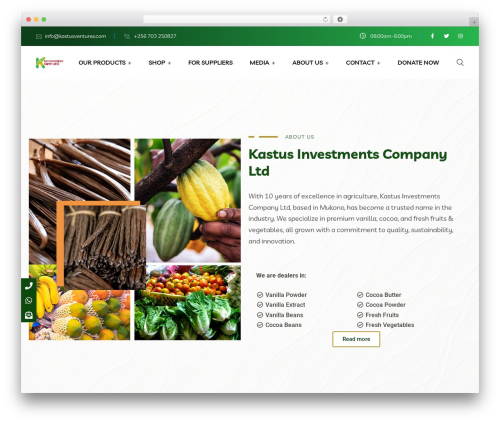 Braintech WordPress theme - kastusventures.com