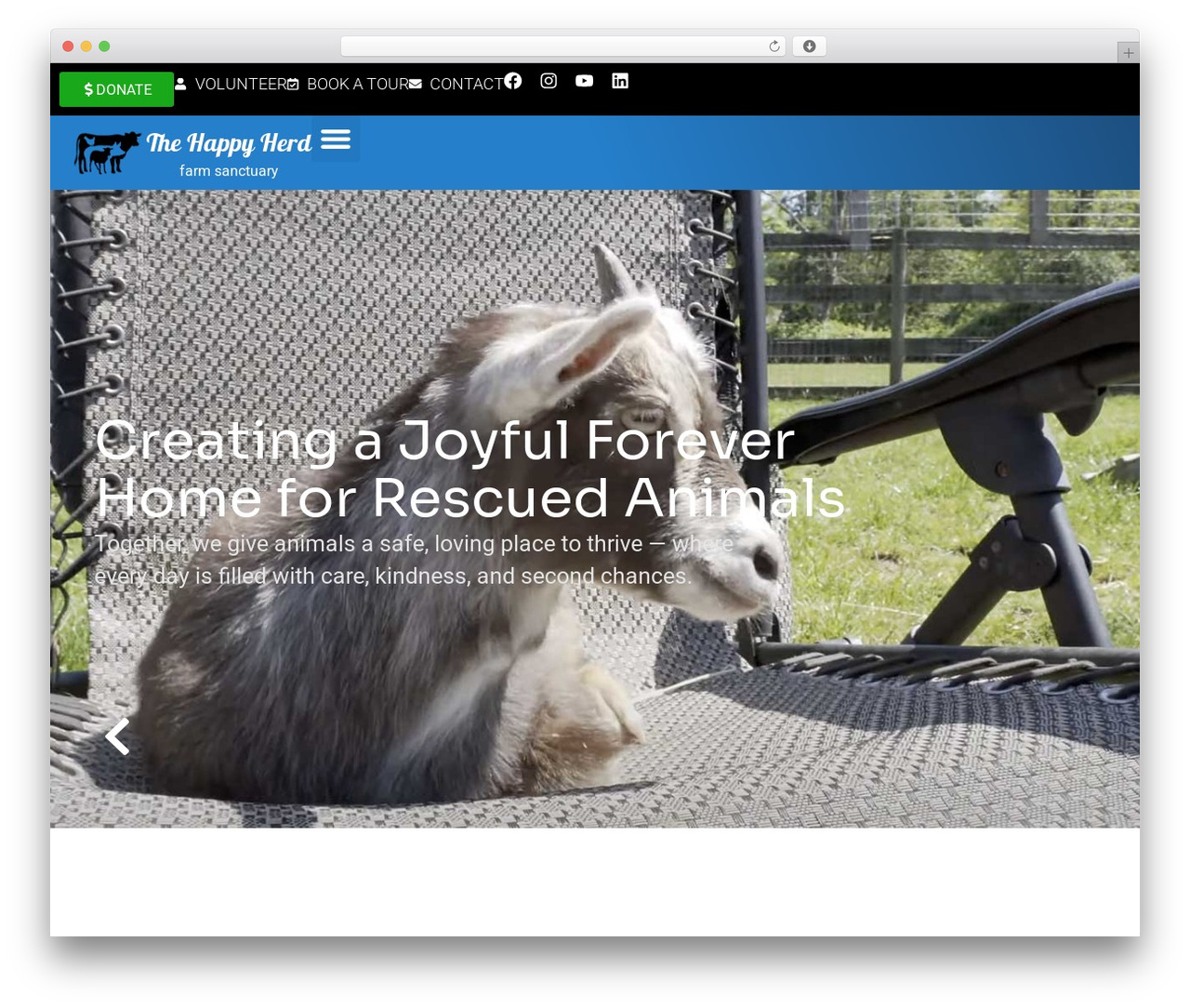 Hello Elementor Child WordPress theme - happyherd.org