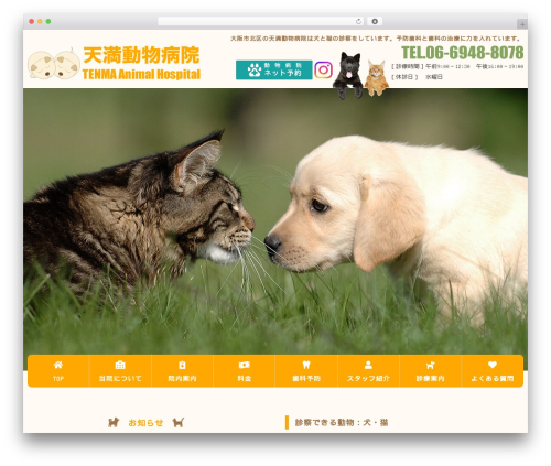my-theme WordPress website theme - tenma-ah.com