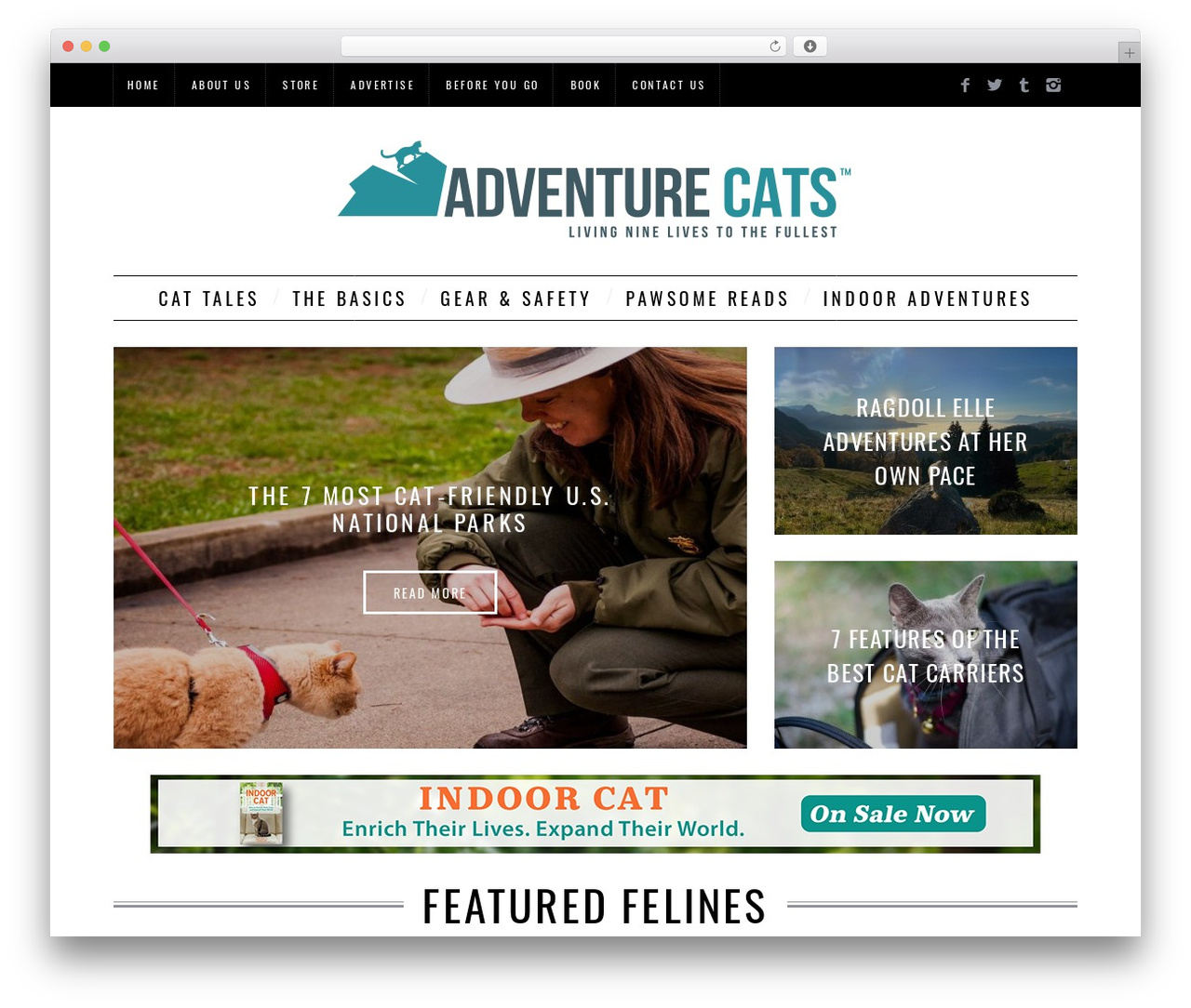 SimpleMag WordPress theme - adventurecats.org SimpleMag WordPress theme - adventurecats.org