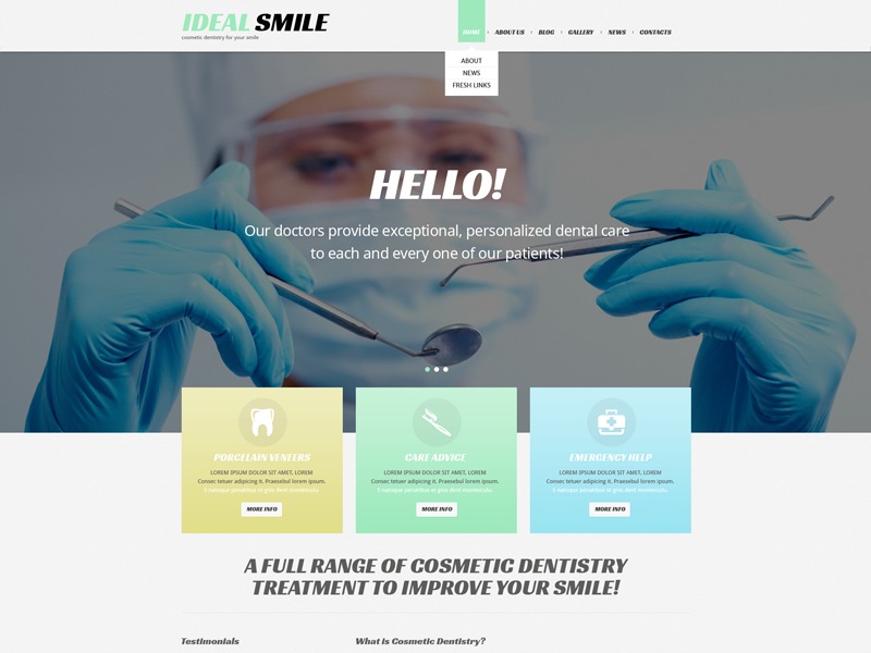 theme54036 WP theme