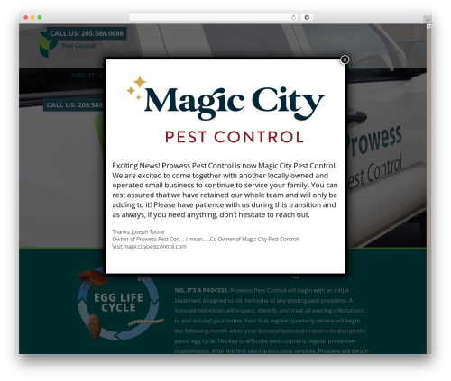 Create WP theme - prowesspestcontrol.com