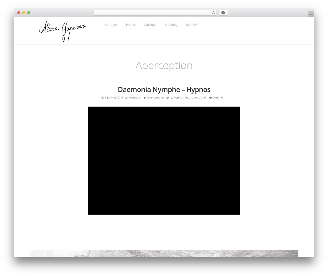 Develop WordPress website theme - alenagaponova.com
