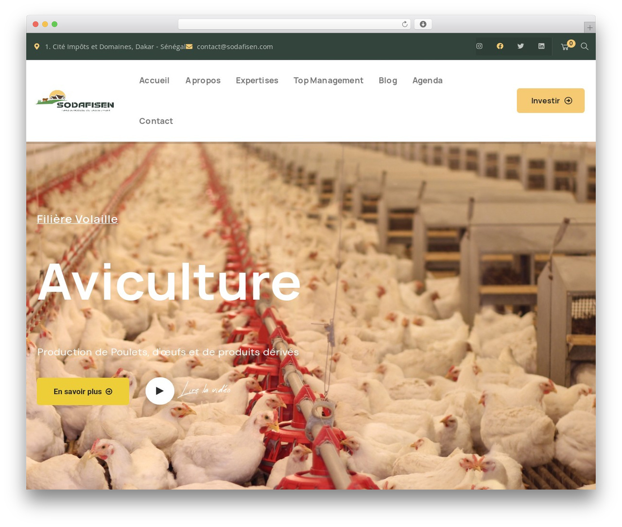 Orgarium WordPress theme - sodafisen.com