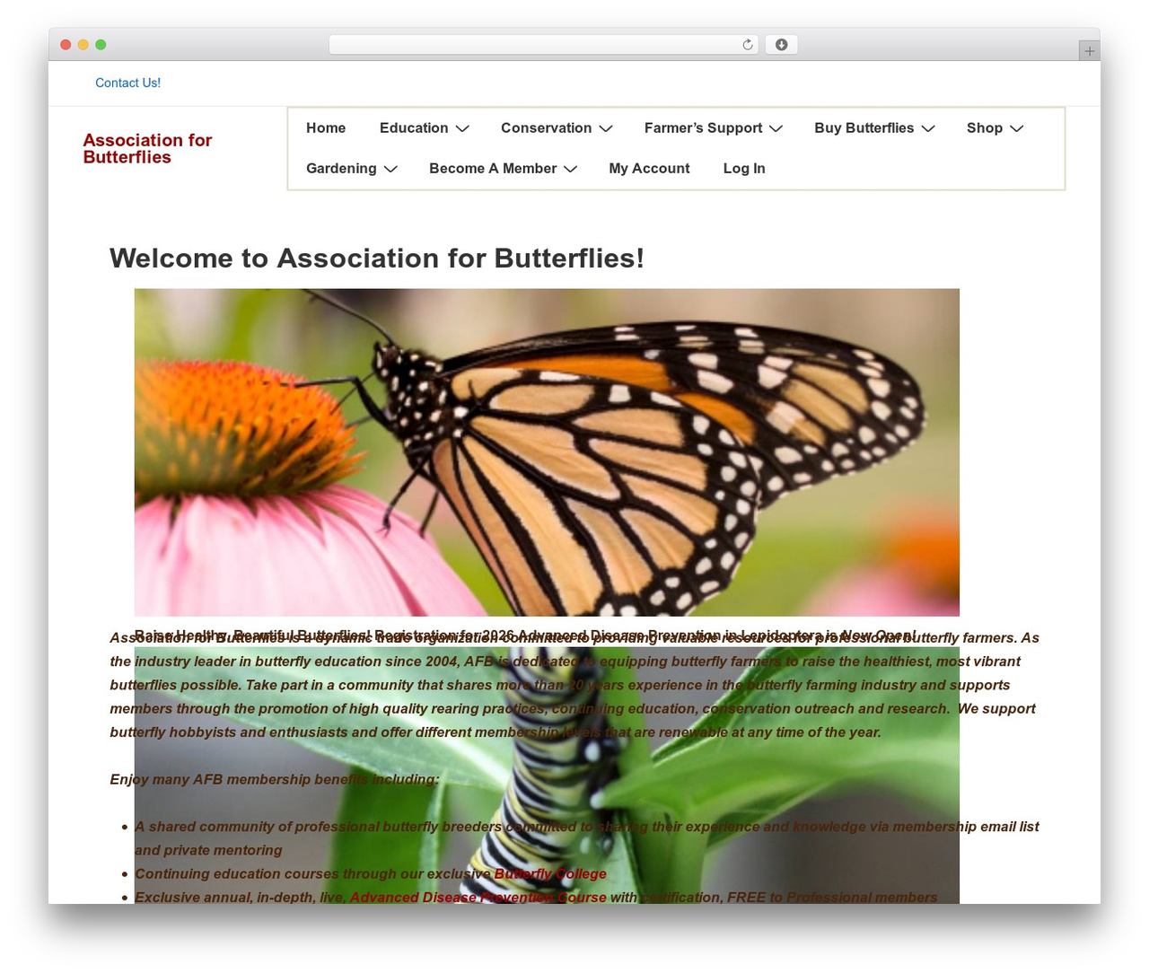 Responsive free WordPress theme - afbeducation.org Responsive free WordPress theme - afbeducation.org