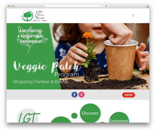 Easy slide ins WordPress plugin - littlegreenthumbs.com.au