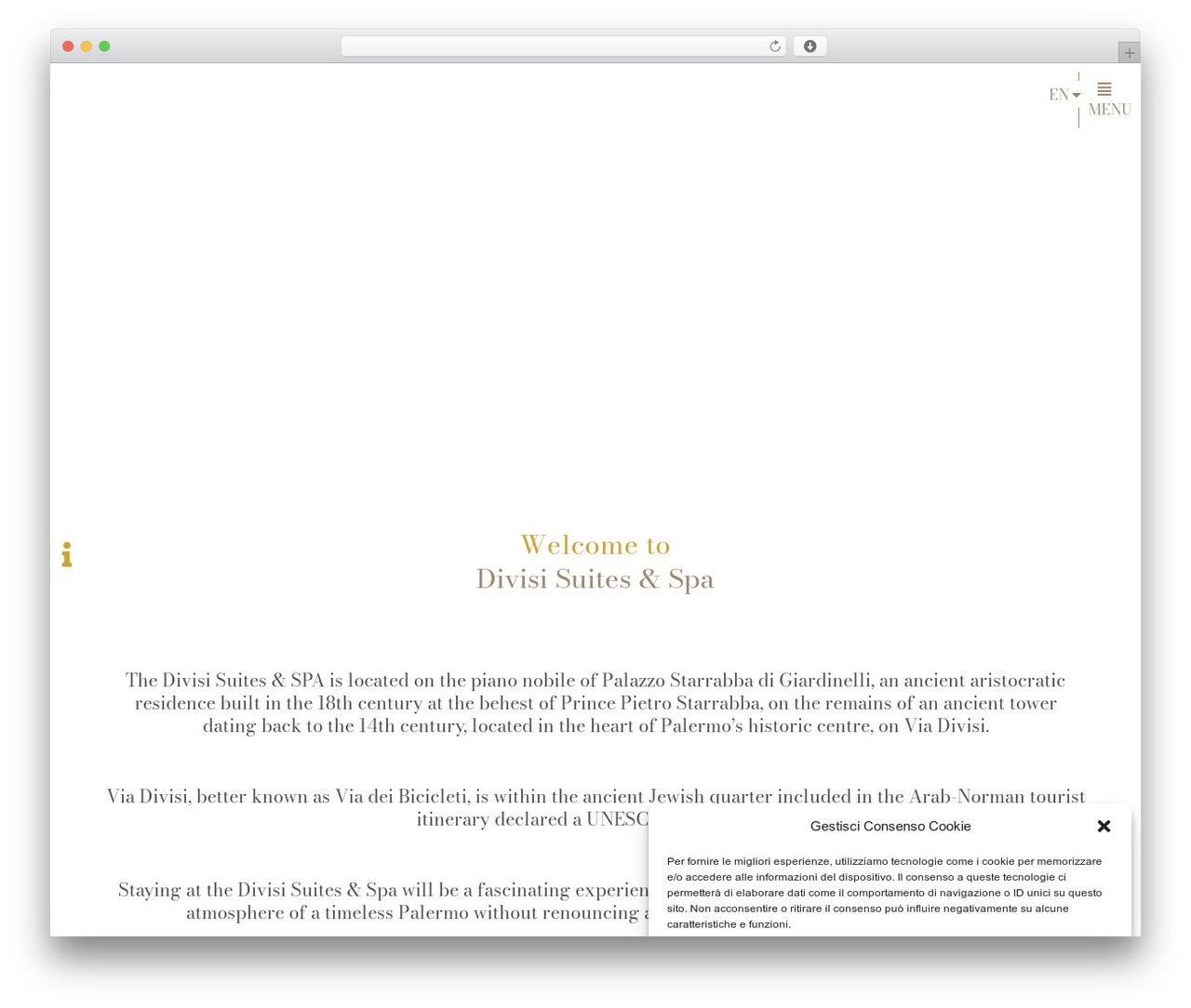 WordPress theme Hello Elementor - divisisuites.com