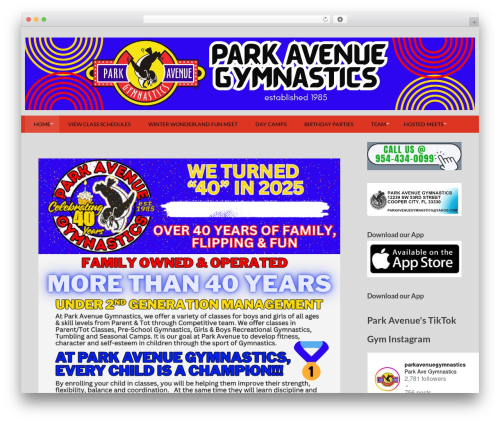 Feed for TikTok (feed-for-tiktok) free WordPress plugin - parkavenuegymnastics.com Feed for TikTok (feed-for-tiktok) free WordPress plugin - parkavenuegymnastics.com