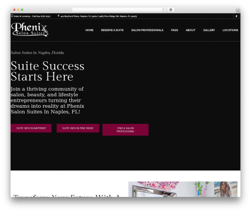 Best WordPress theme Coiffeur - phenixsalonsflorida.com