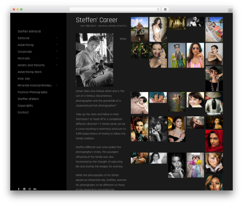 Imaginem blocks ii WordPress plugin - billhardtphotography.com