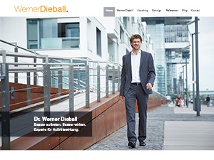 Dieball WordPress theme