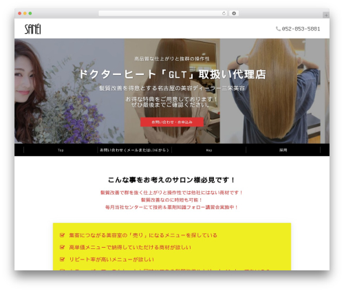 Emanon Pro WordPress theme - glt-sanei.com