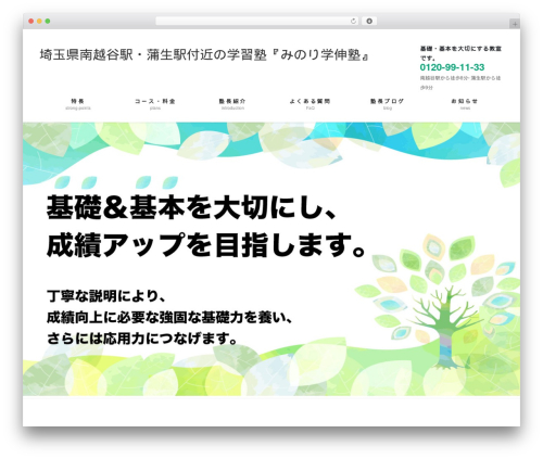 Lightning Pro WordPress theme design - minori-juku.net