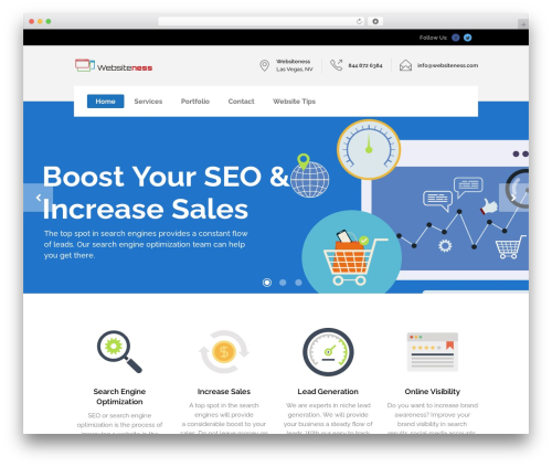 Startit top WordPress theme - websiteness.com