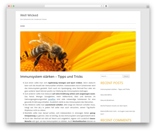 Tiny Forge WordPress theme - well-wicked.ch Tiny Forge WordPress theme - well-wicked.ch