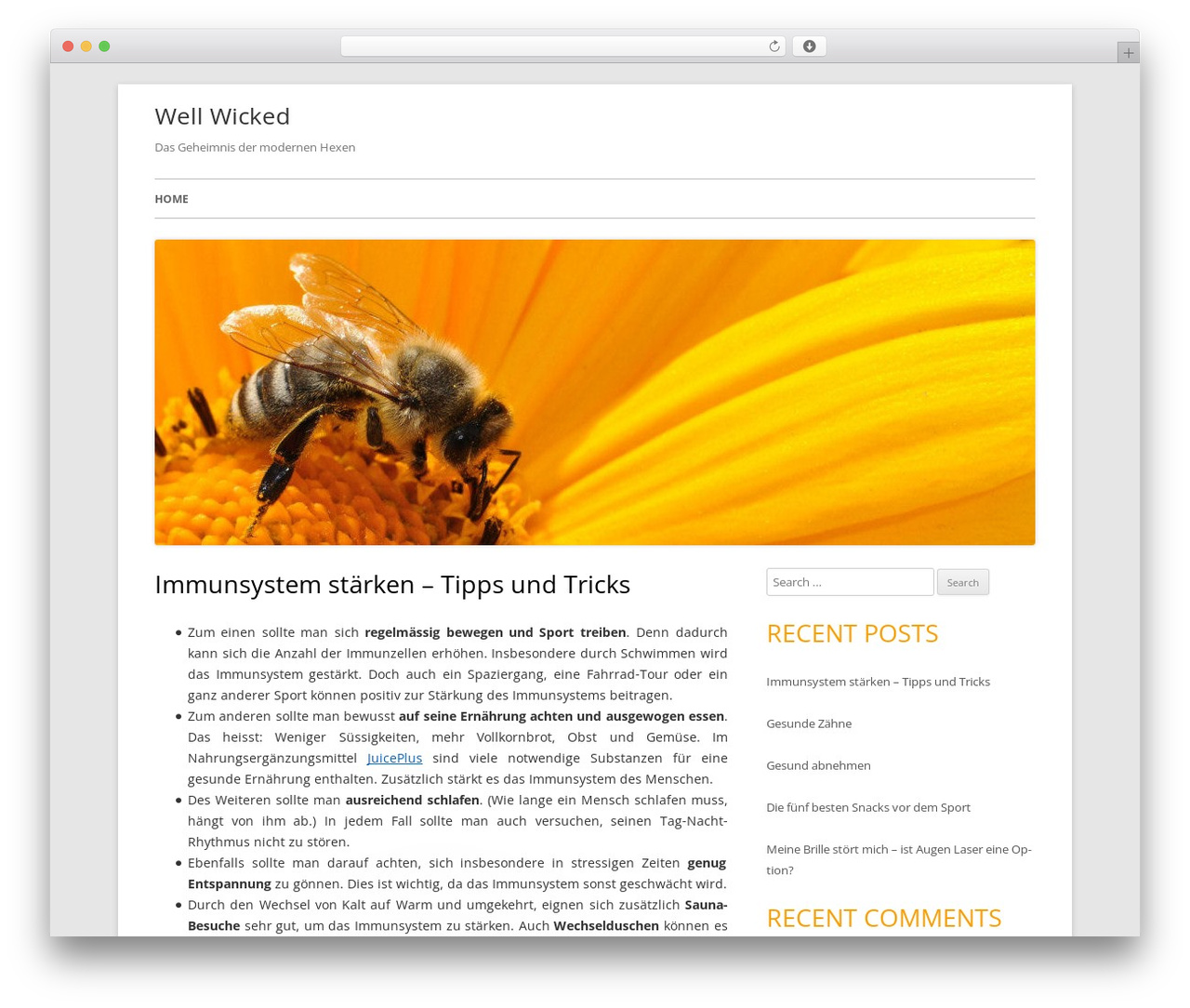 Tiny Forge WordPress theme - well-wicked.ch Tiny Forge WordPress theme - well-wicked.ch