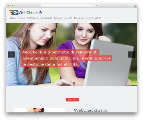 WordPress theme Appdev - webci.it