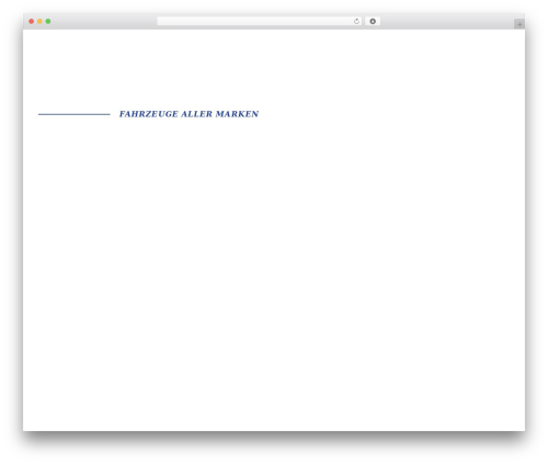 Best WordPress theme incoding. Theme - sng-automobile.ch
