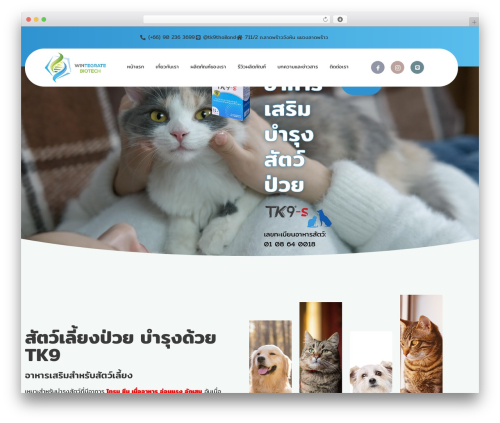 Designil pdpa WordPress plugin - tk9thailand.com