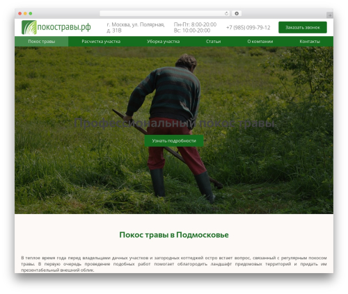IMS Basic WP theme - xn--80aewpbdkhj7g.xn--p1ai