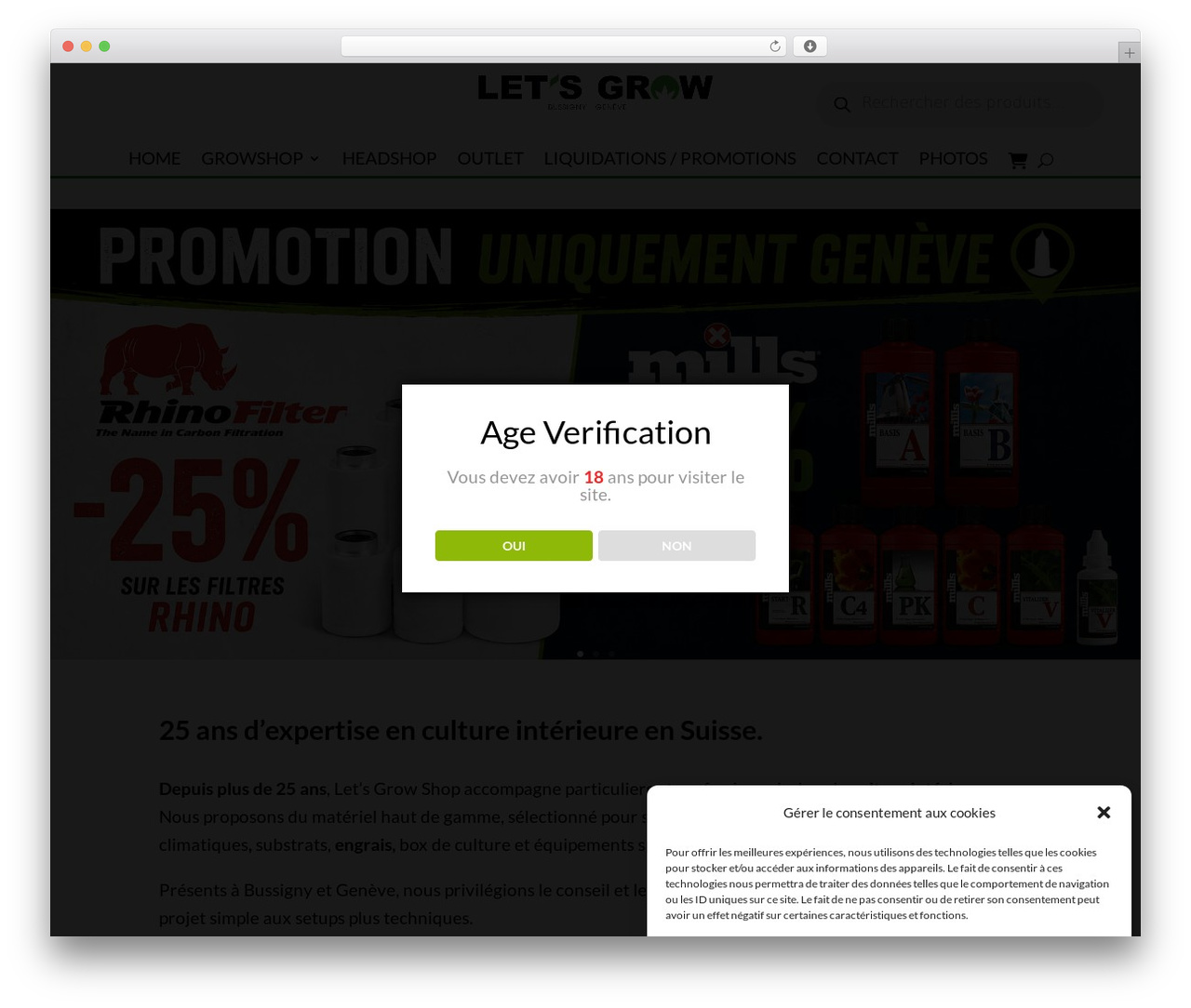 Theme WordPress Divi Child 02 - letsgrow.ch
