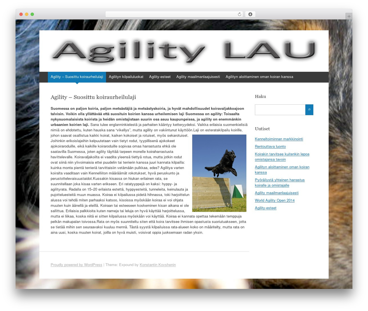 Theme WordPress Expound - agilitylau.net Theme WordPress Expound - agilitylau.net