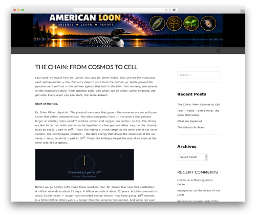 Theme WordPress Suits - americanloon.com