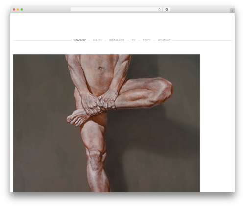 Fastgallery WordPress plugin - adamsakovy.sk
