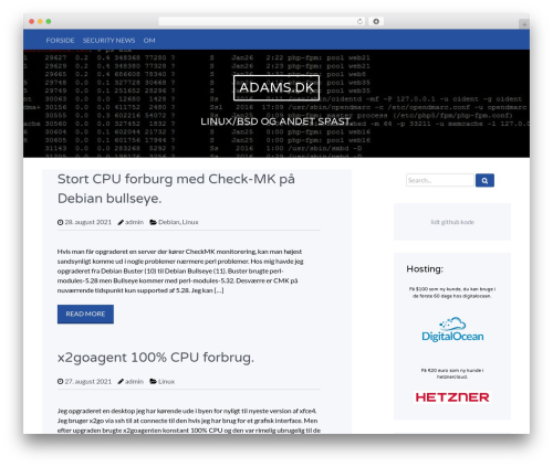 Wise WordPress theme - adams.dk
