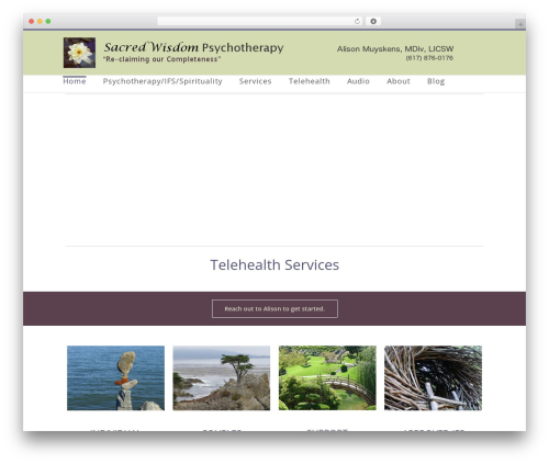 WordPress theme Avada - alisonmuyskens.com