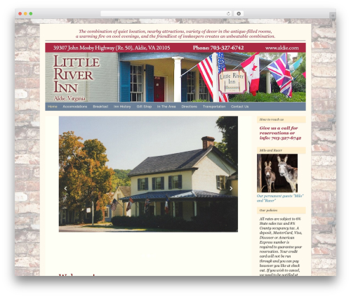 WordPress theme Catalyst - aldie.com