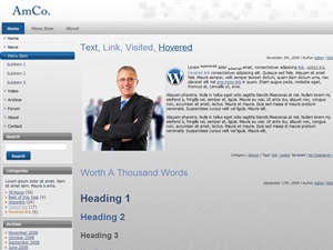 Amco WordPress theme image by Ruler Digital Agency