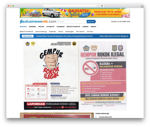 BloggingPro WordPress theme design - solusinewsntb.com