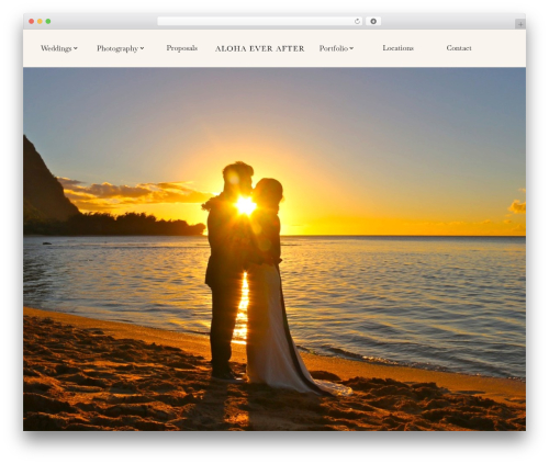 Divi next masonry gallery WordPress plugin - alohaeverafter.com