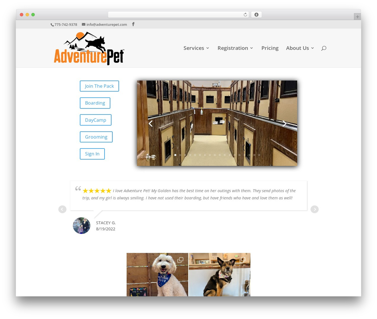 Divi WordPress theme - adventurepet.com Divi WordPress theme - adventurepet.com