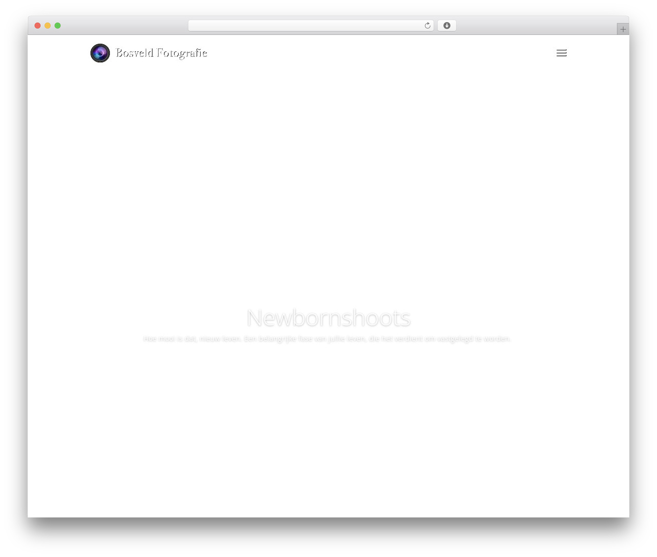 Divi WordPress theme - sebastiaanbosveld.nl
