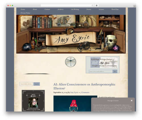 Editor block outline WordPress plugin - amyeyrie.net