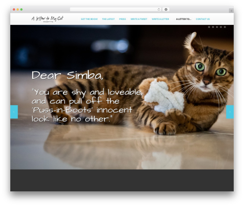 Scroller Theme WordPress website theme - alettertomycat.com