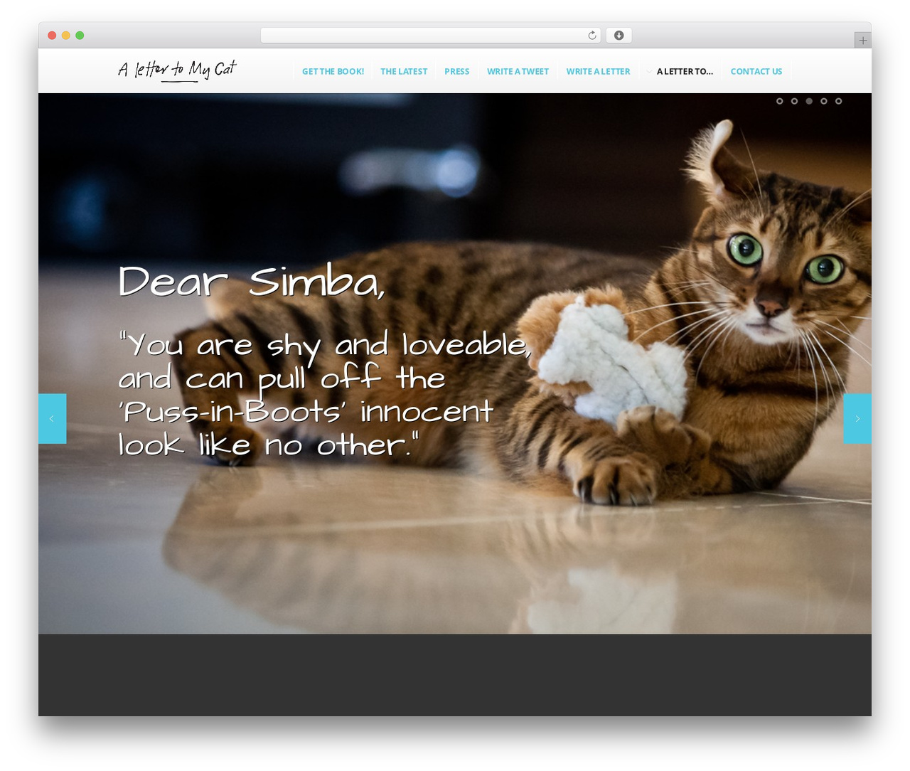 Scroller Theme WordPress website theme - alettertomycat.com Scroller Theme WordPress website theme - alettertomycat.com