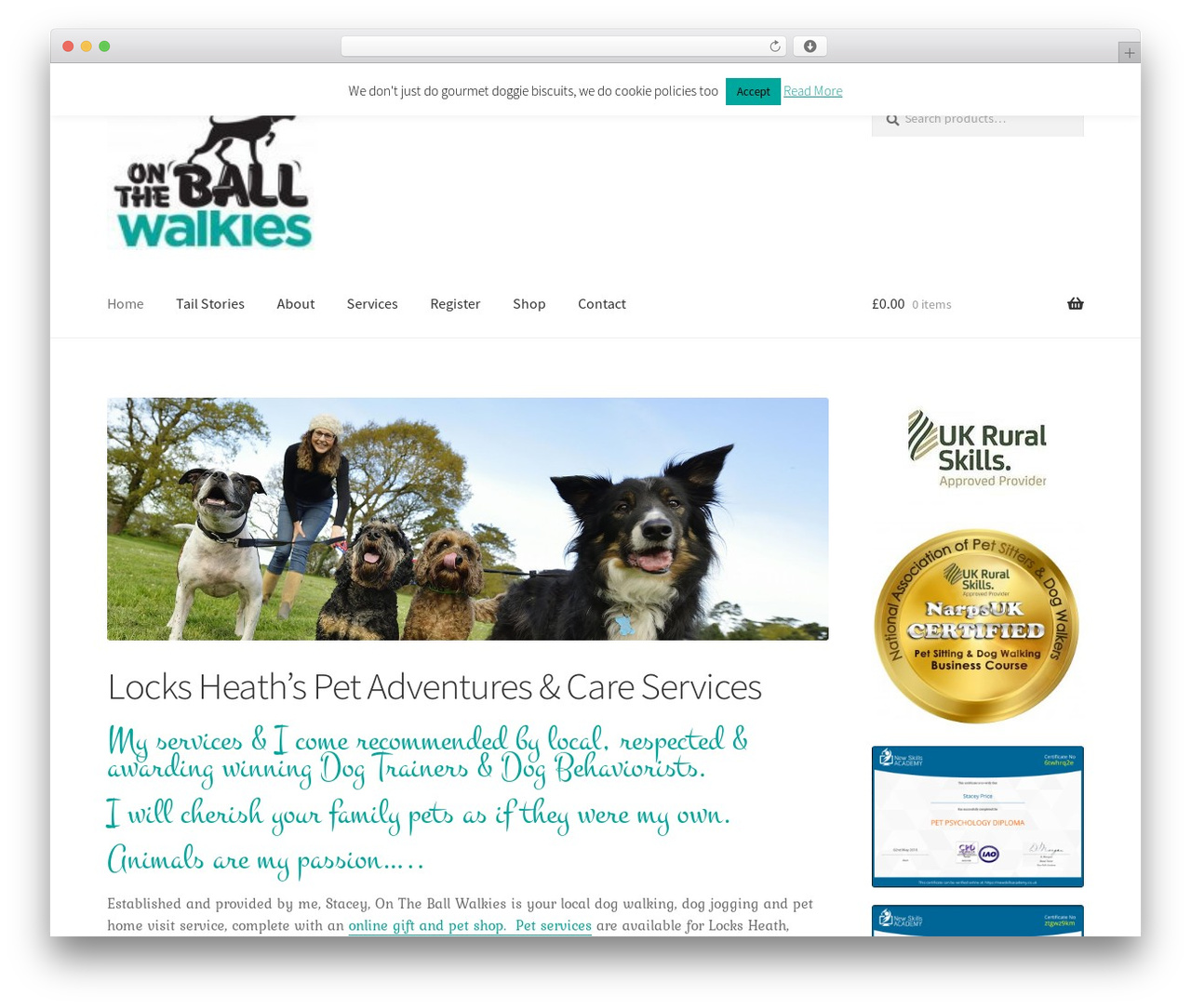 Storefront Blank Child Theme theme WordPress - ontheballwalkies.com Storefront Blank Child Theme theme WordPress - ontheballwalkies.com