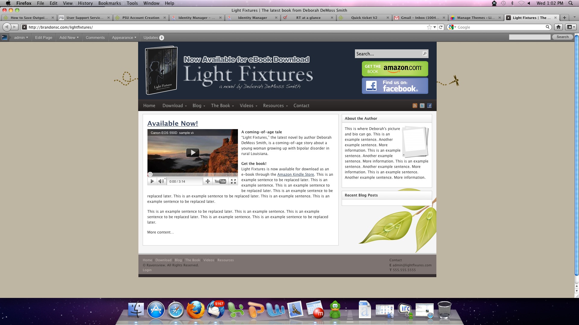Theme WordPress Dragonfly