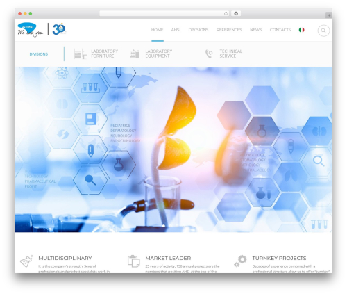 Theme WordPress Focuson - www.ahsi.it