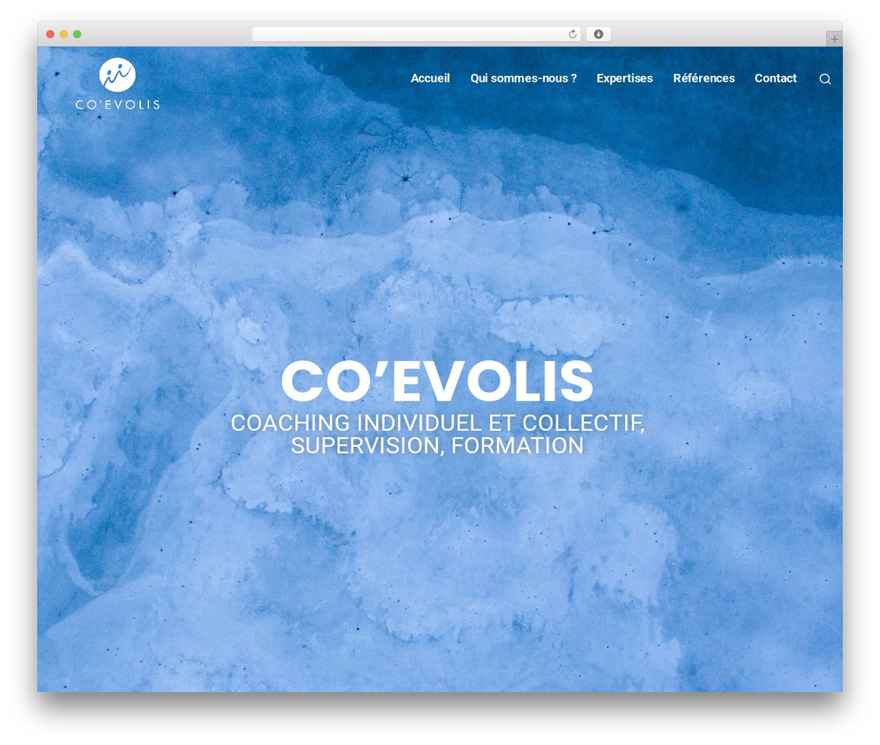 Torfa premium WordPress theme - co-evolis.com